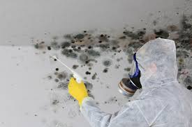 Best Crawl Space Mold Remediation  in Chapel Hill, TN